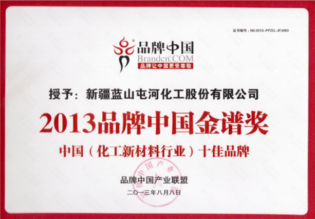 2013品牌中國金譜獎